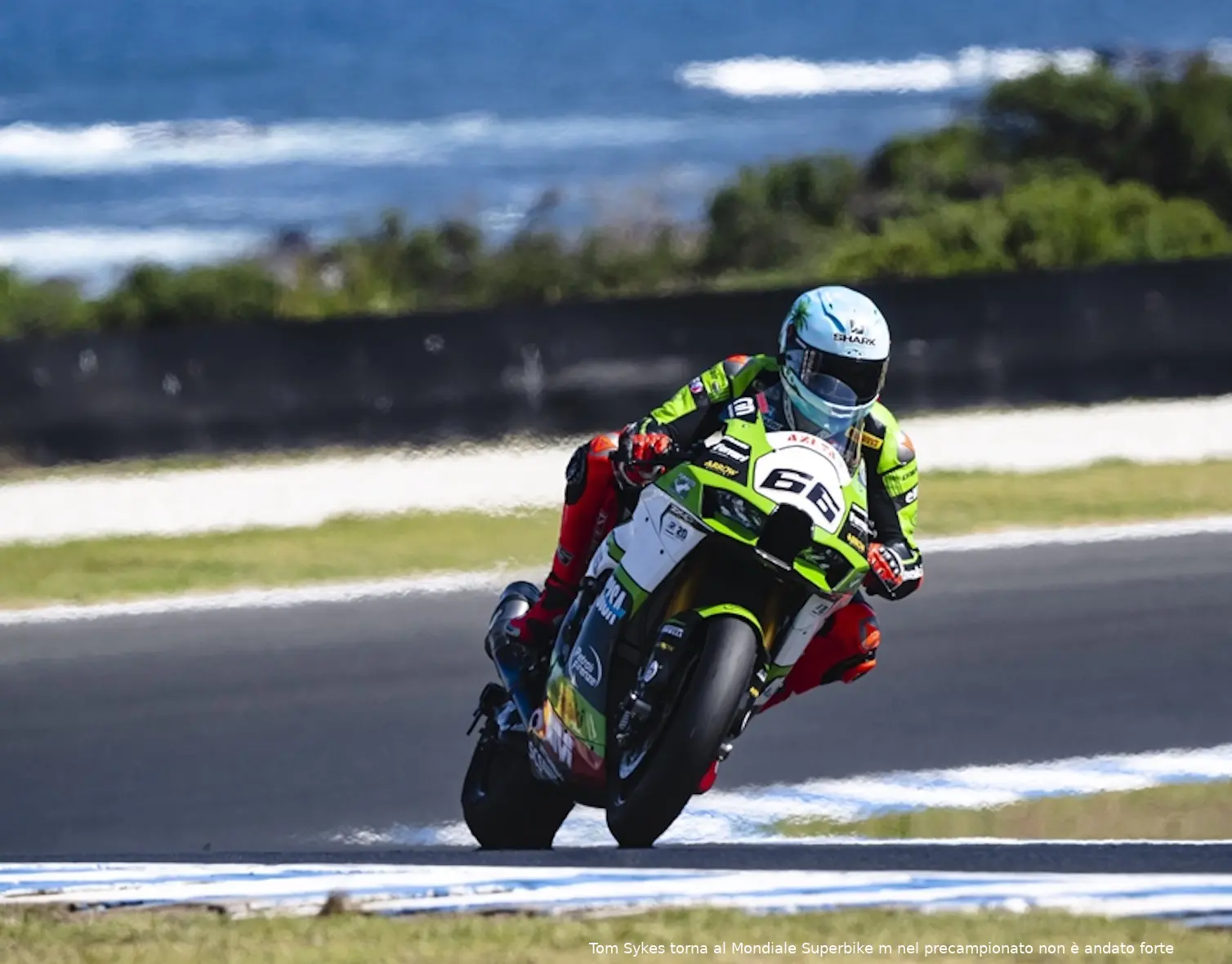 tom sykes