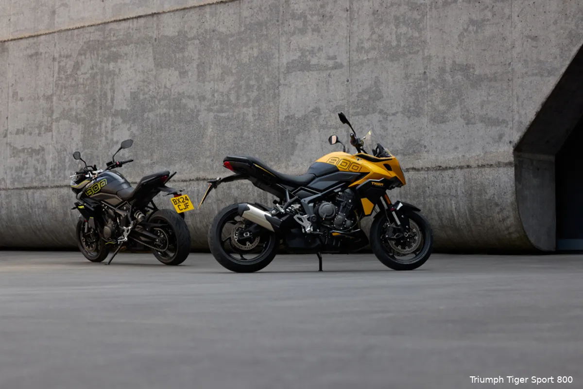 fam tigersport my25 70343 jp