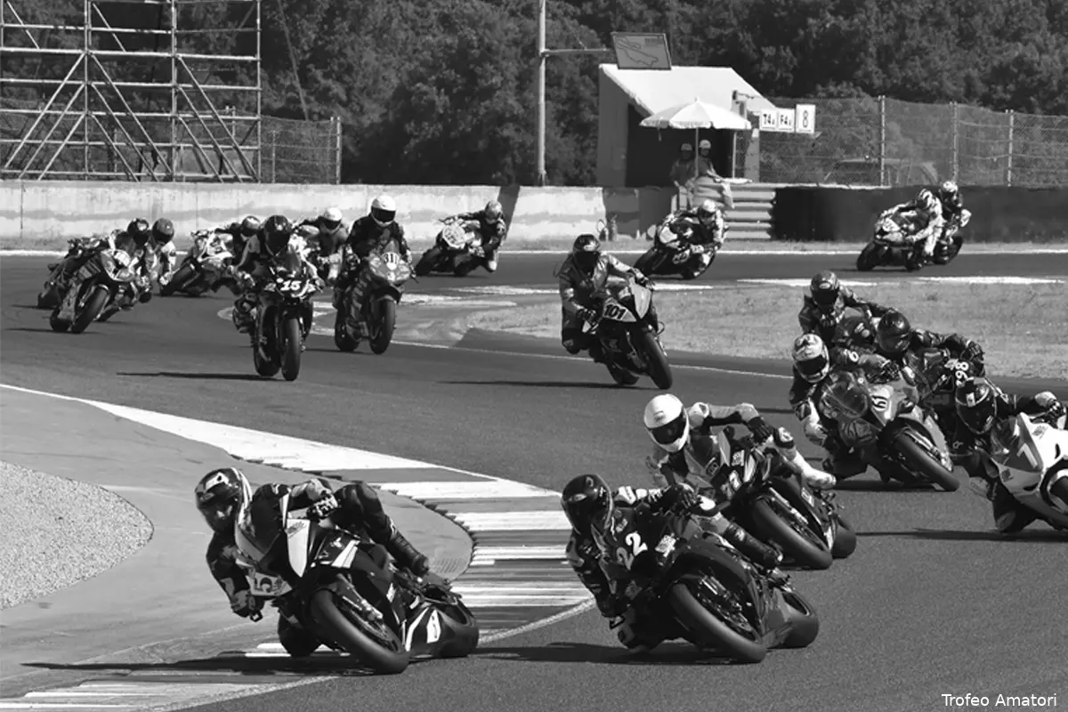trofeo amatori