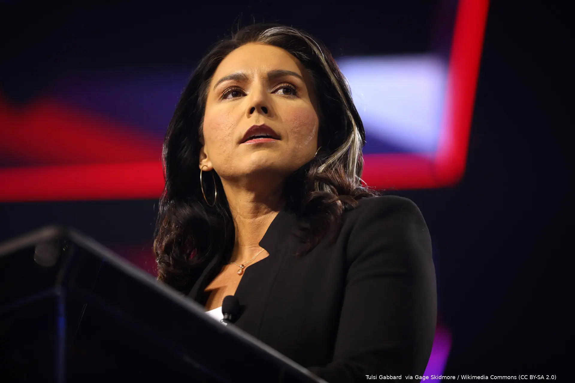 tulsi gabbard 53423780993