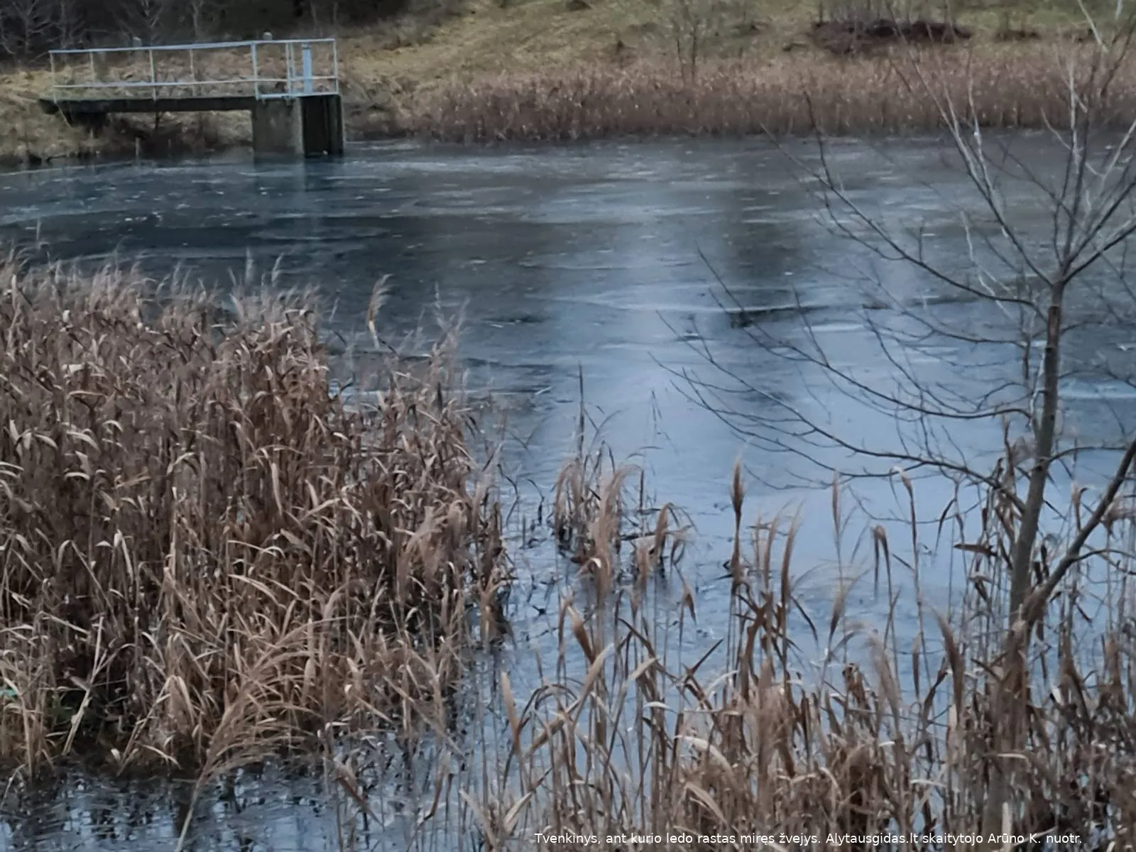 img 5337be1136ef81c04cd78c06e7fa708b v 1