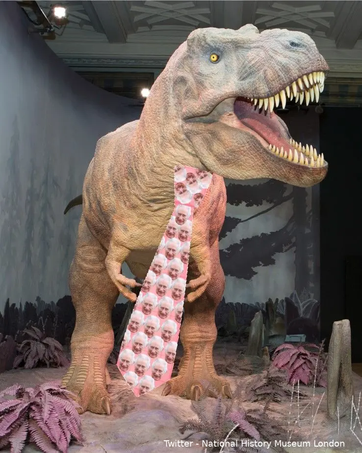 dino charles