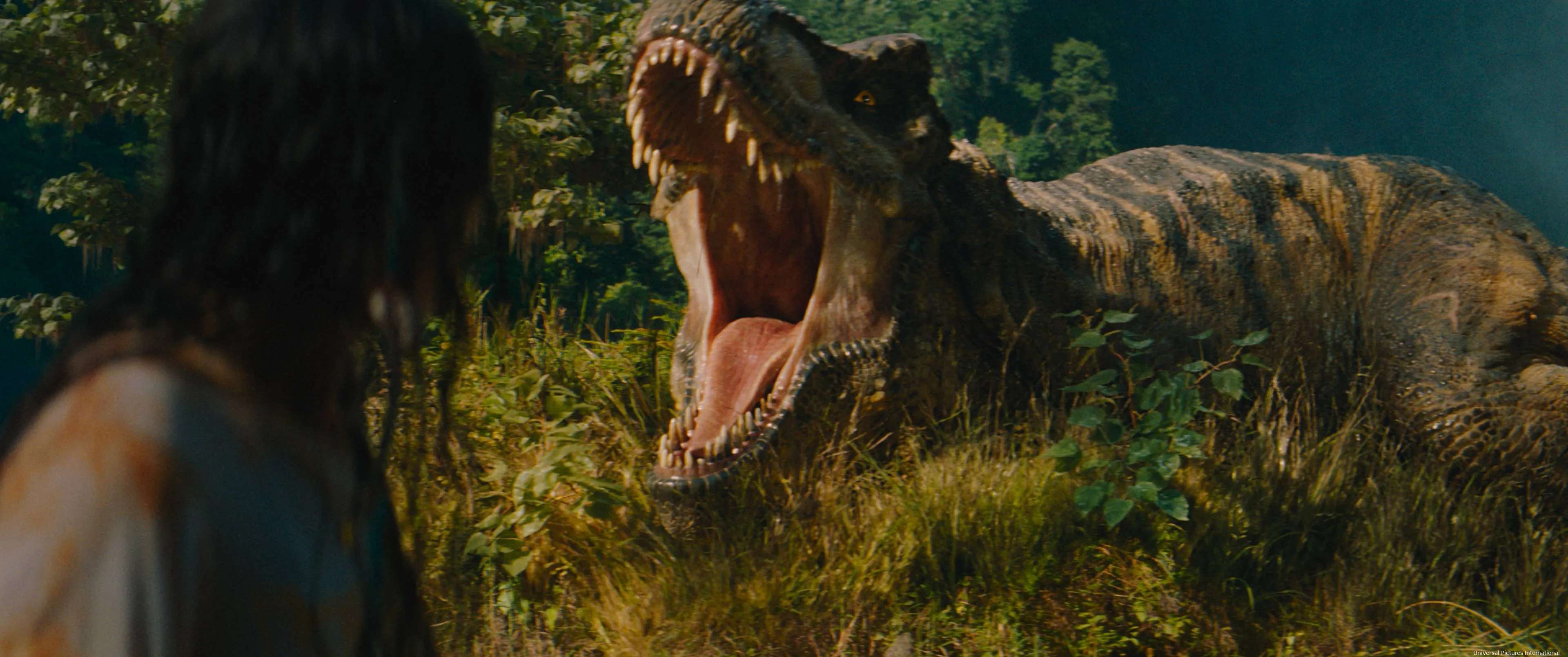 jurassic world rebirth st 15 jpg sd high universal studios all rights reserved