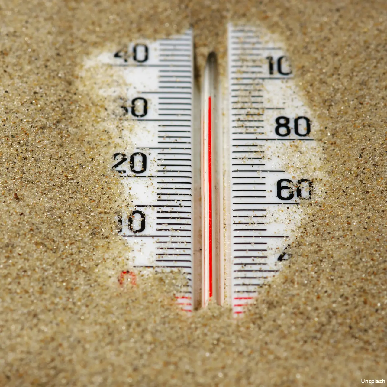 zomer2