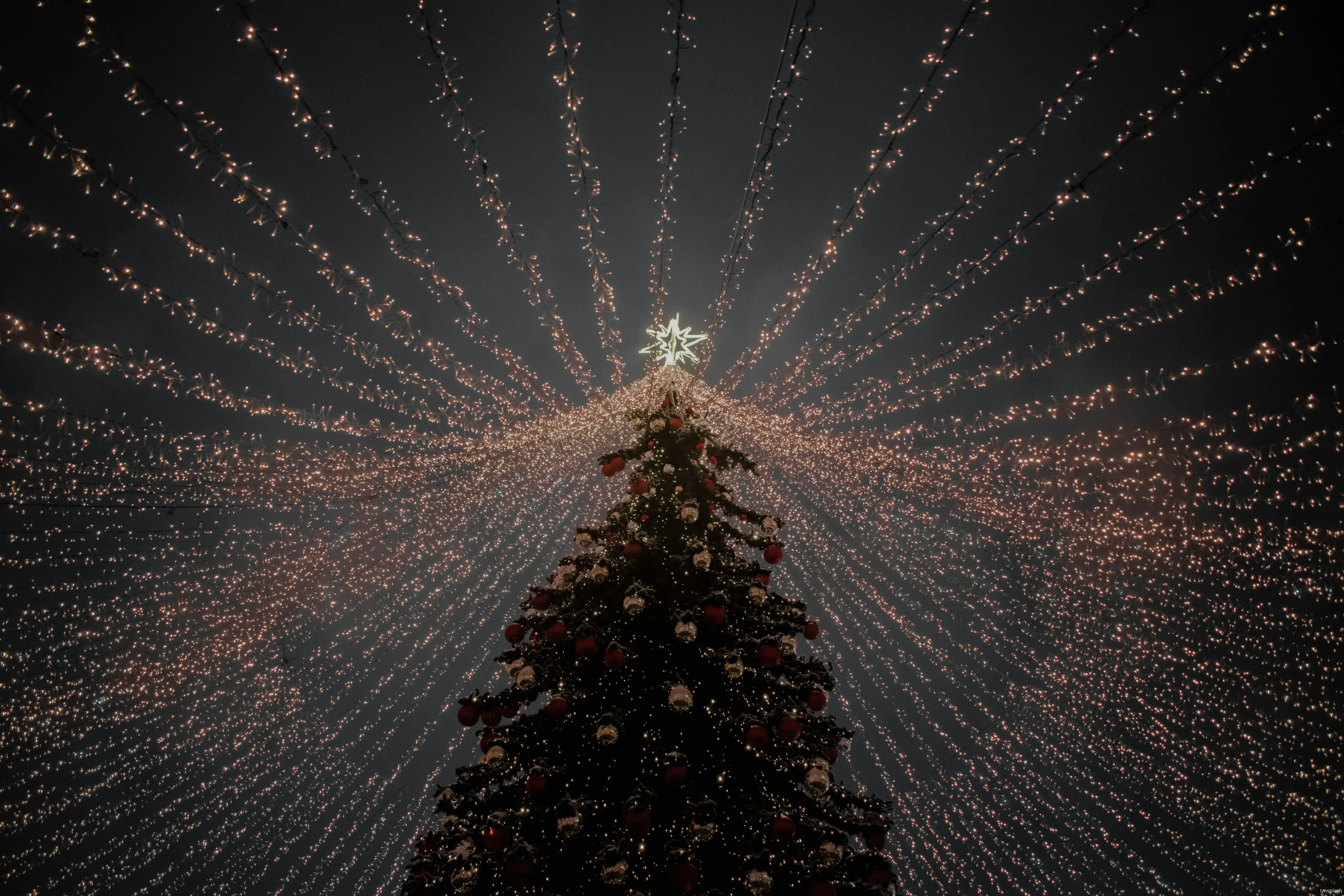 klim musalimov ks6iyawbzhm unsplash