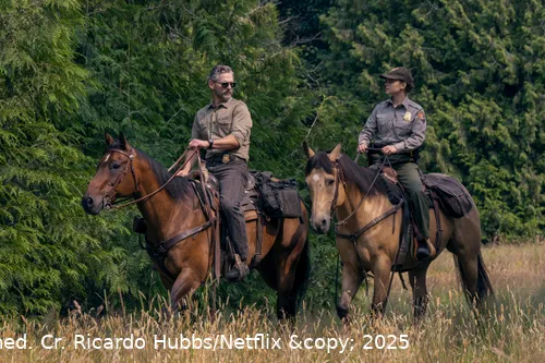 untamed 102 unit 03185rc