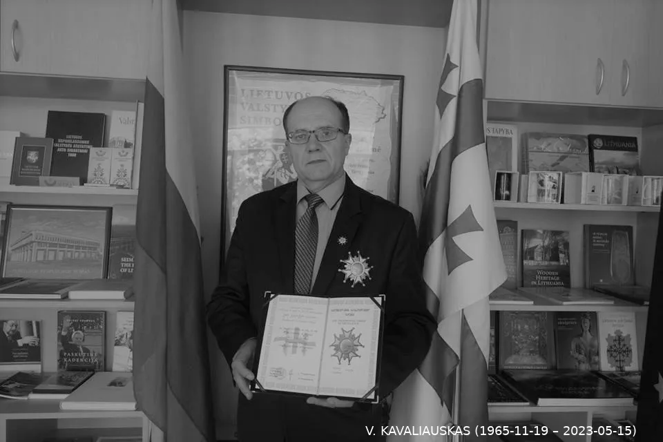 vidkav33772737 1667431606668222 6025525347452190720 ns