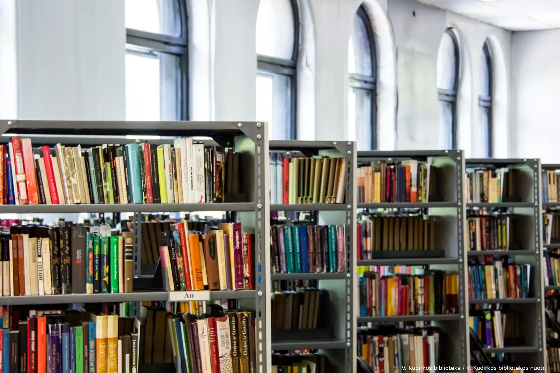 v kudirkos biblioteka
