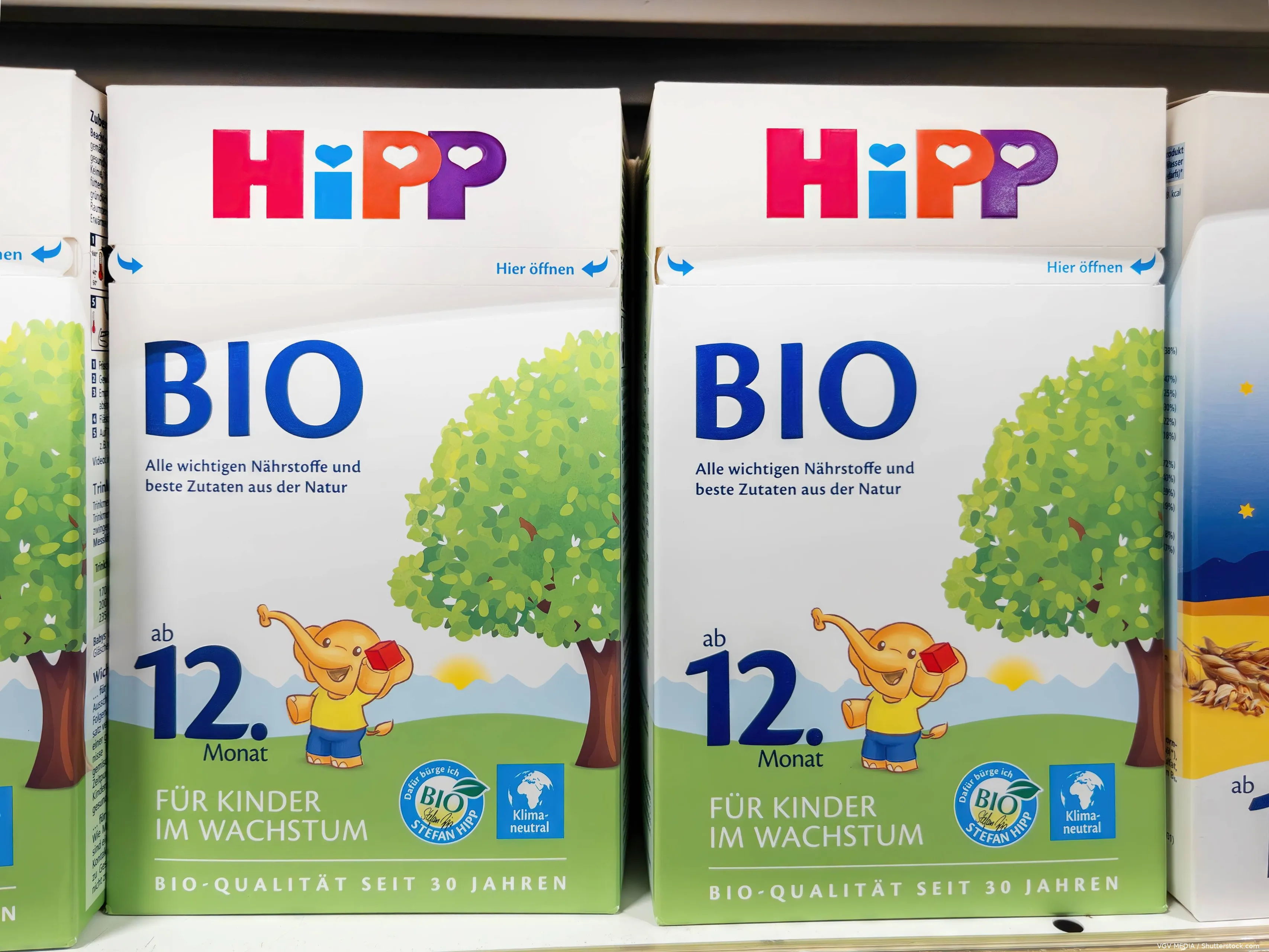 shutterstock_2433501201