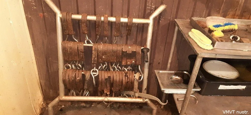 skerdslavvmvt nuotr2 3