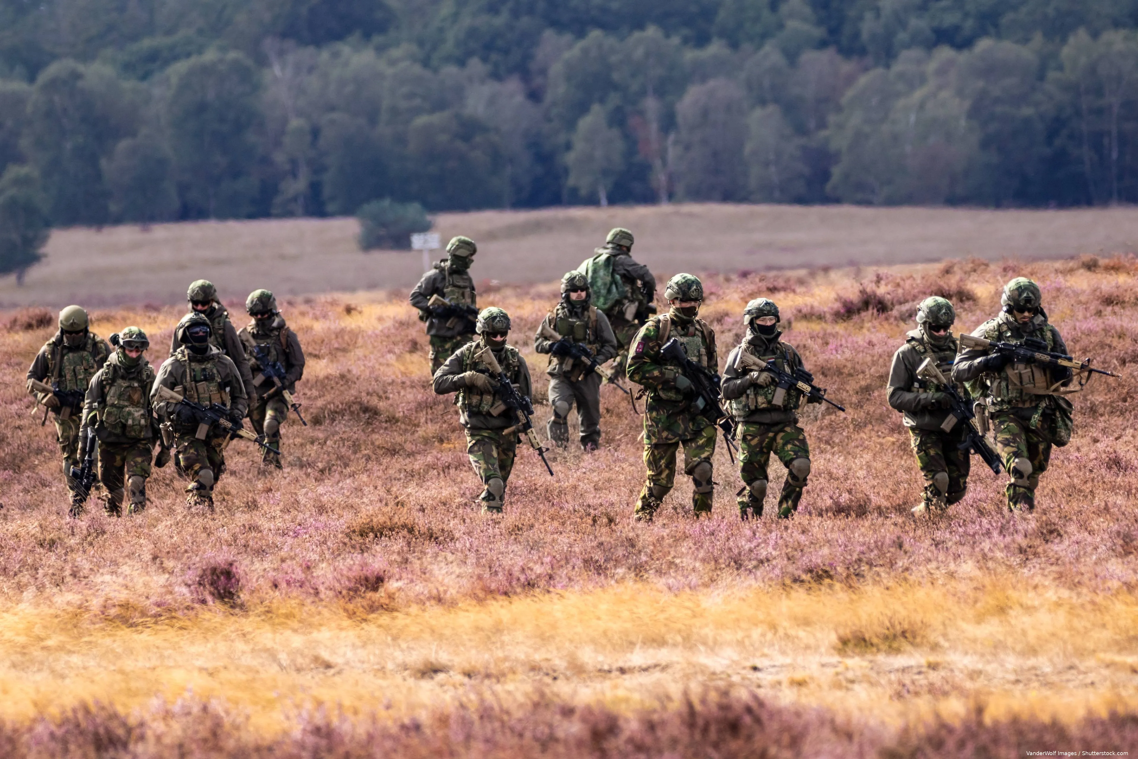 shutterstock_2512226065