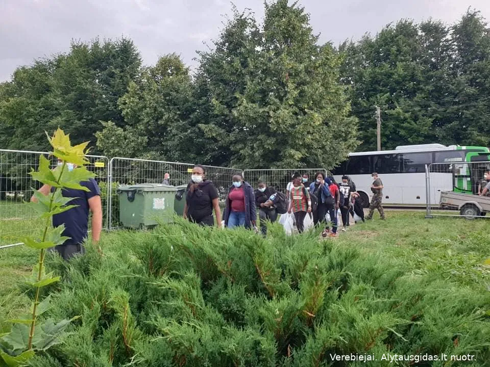 211515852 3961105387350294 2462196773740980223 n