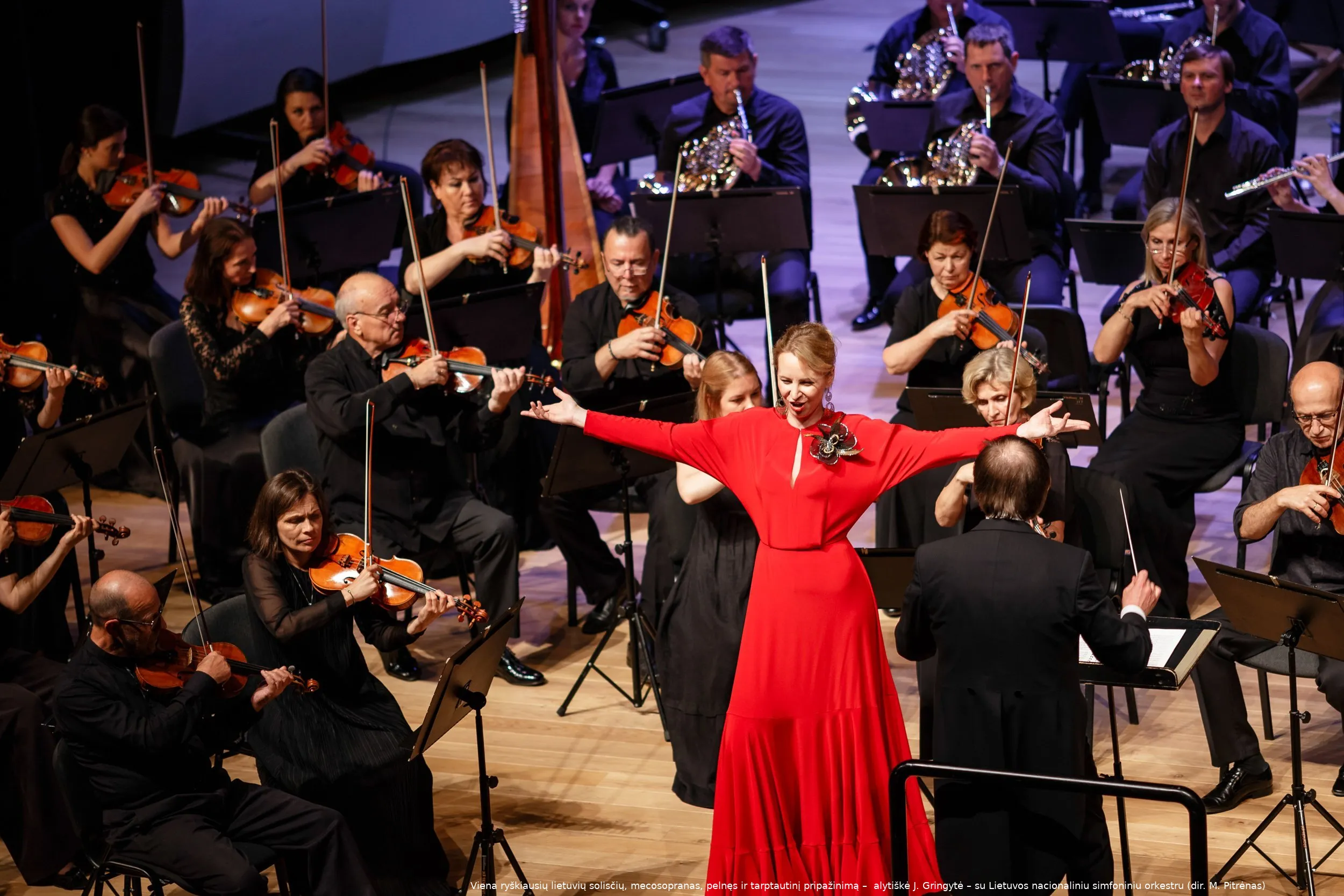 justina gringyte ir lnso1