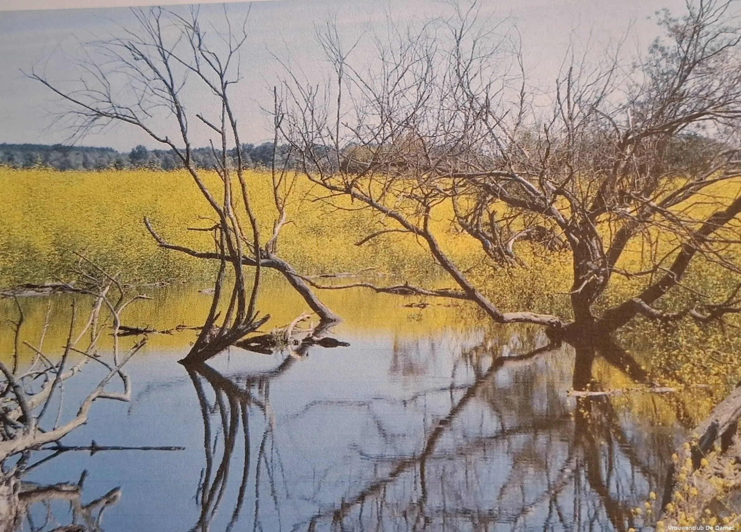 Lezing over de Oostvaardersplassen