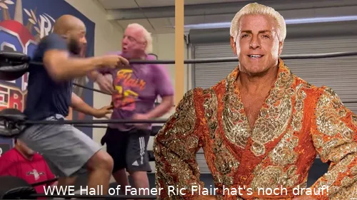 wwe hall of famer ric flair 2022