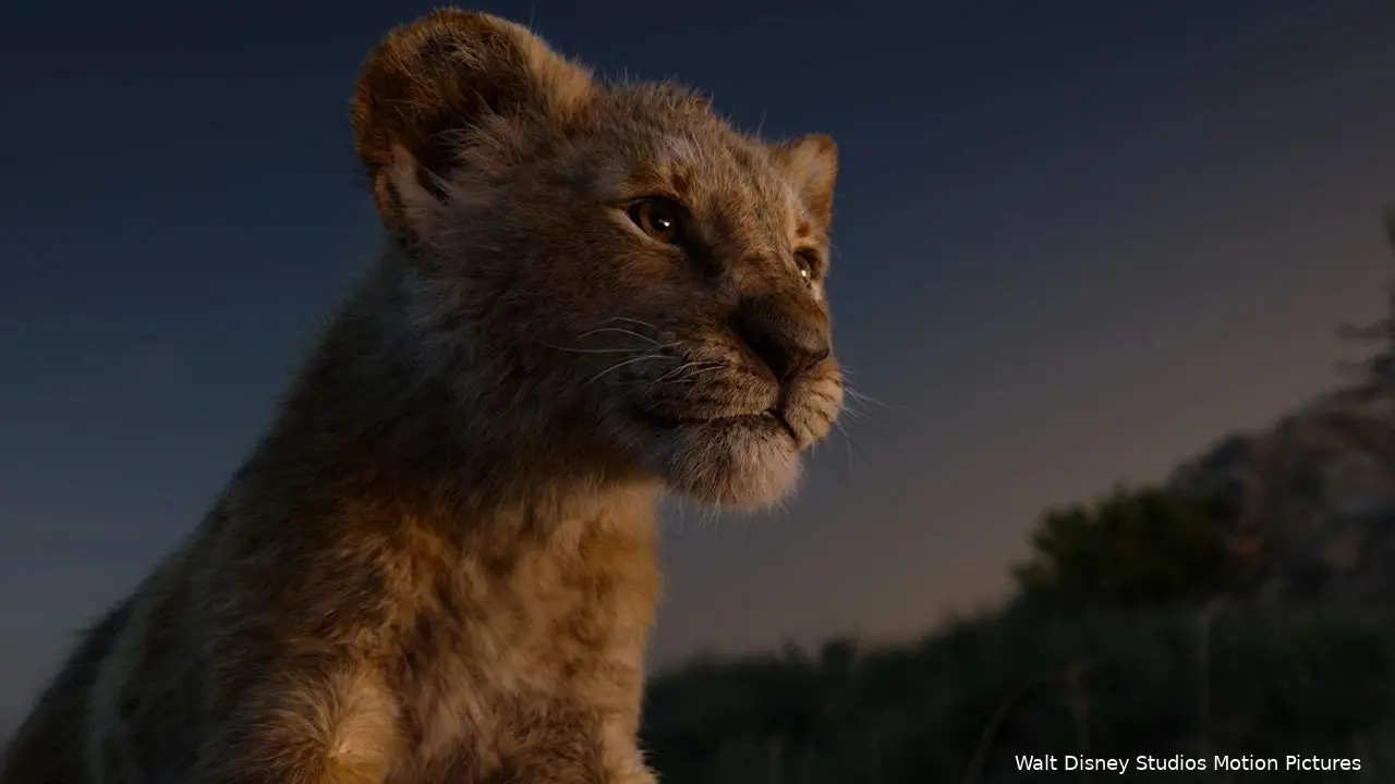 the lion kingf1581929314
