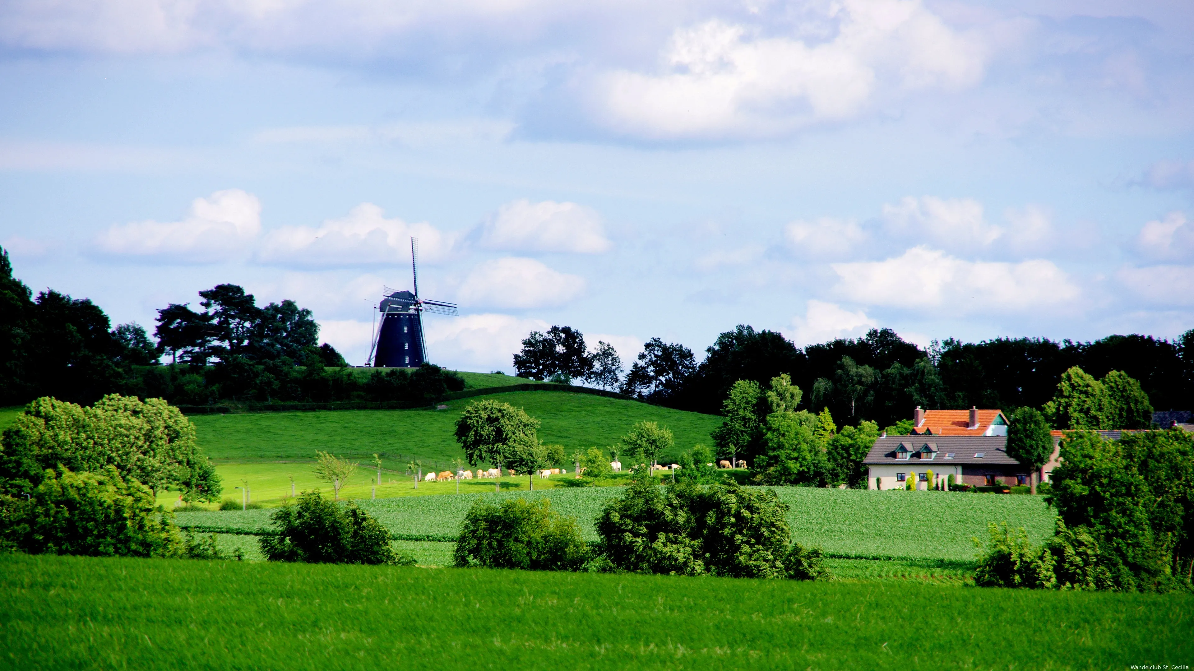 lentewandeltocht ubachsberg vrouwenheide b 6