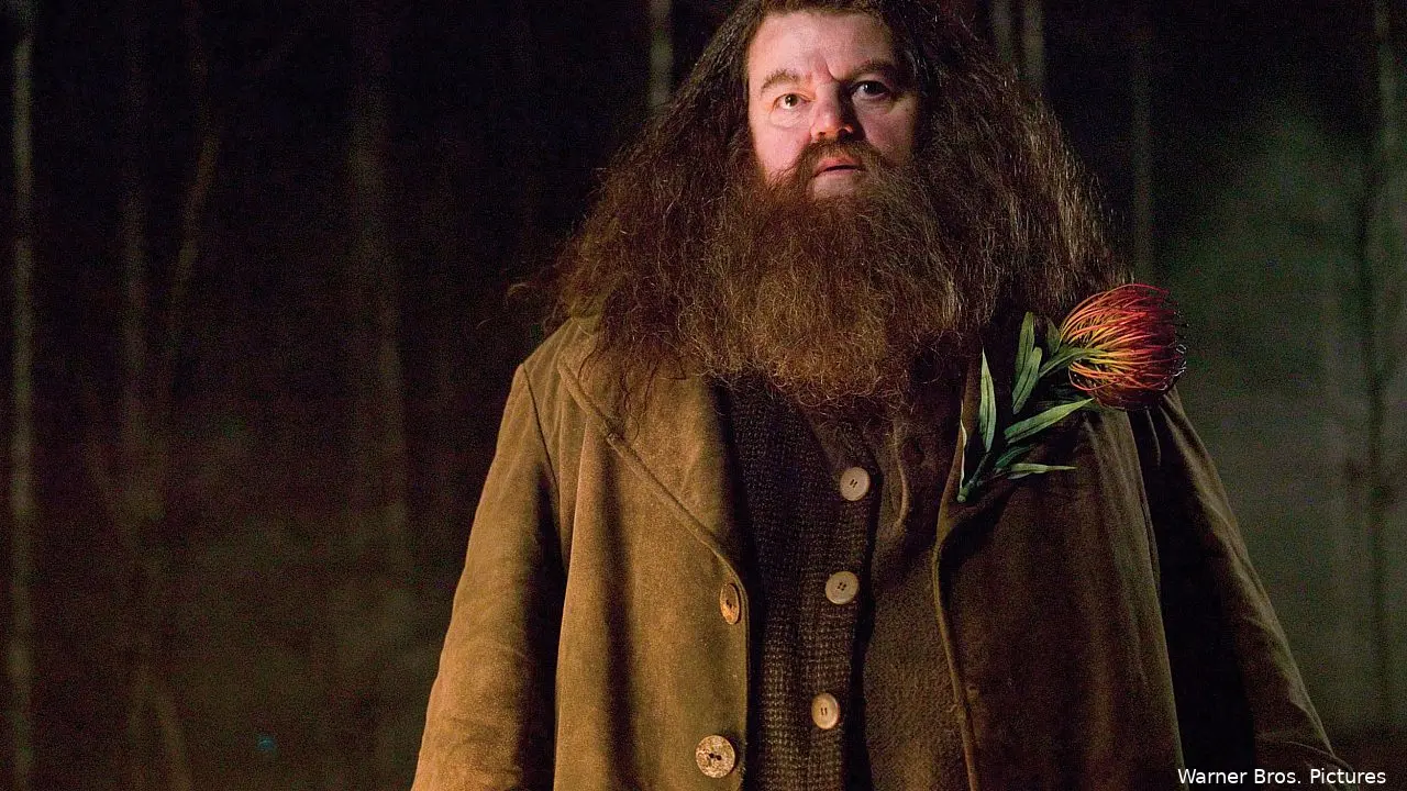 hagrid robbie coltranef1665916757