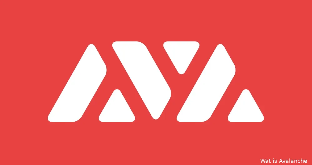 avalanche review