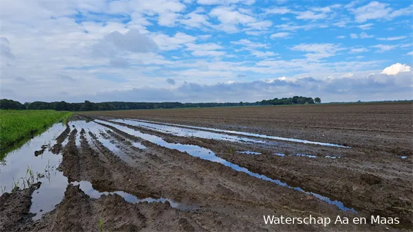 verhoogde grondwaterstanden