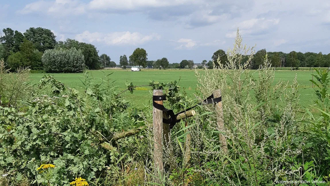 waterschap vallei veluwe bomenkap