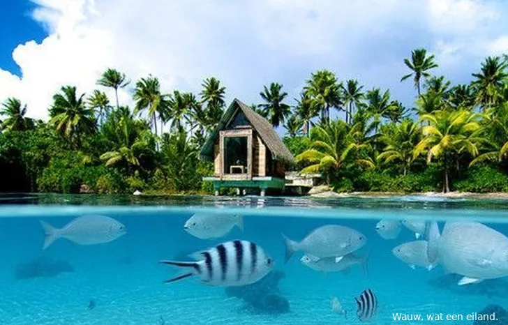 borabora