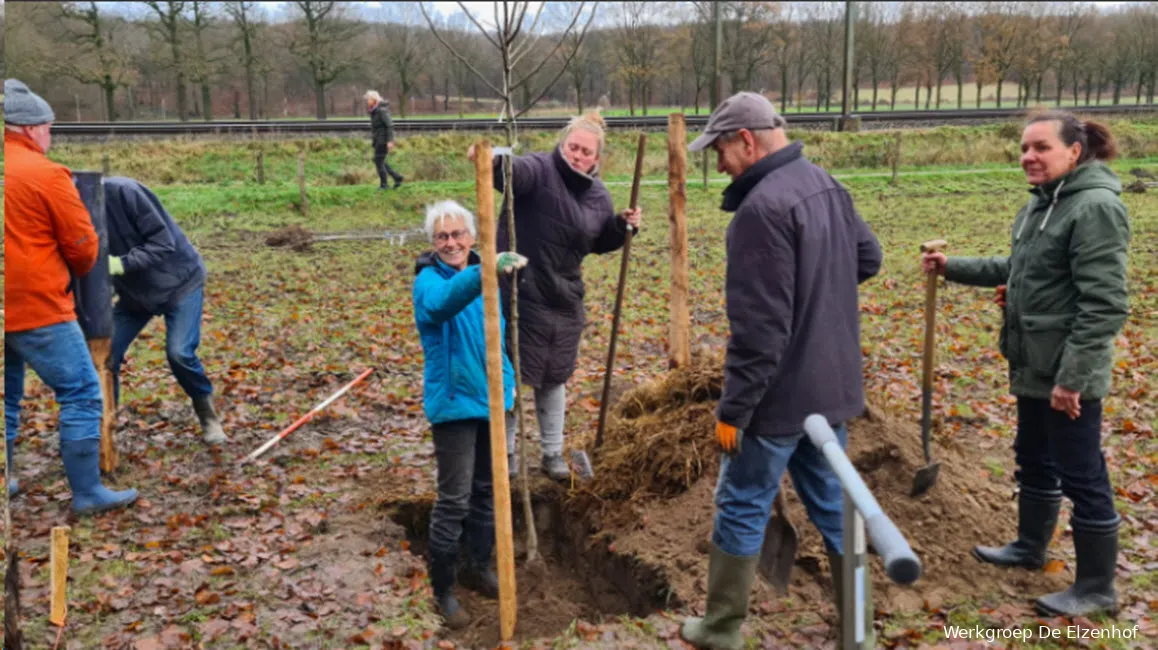 aanleg hoogstamboomgaard de elzenhof 2023 2