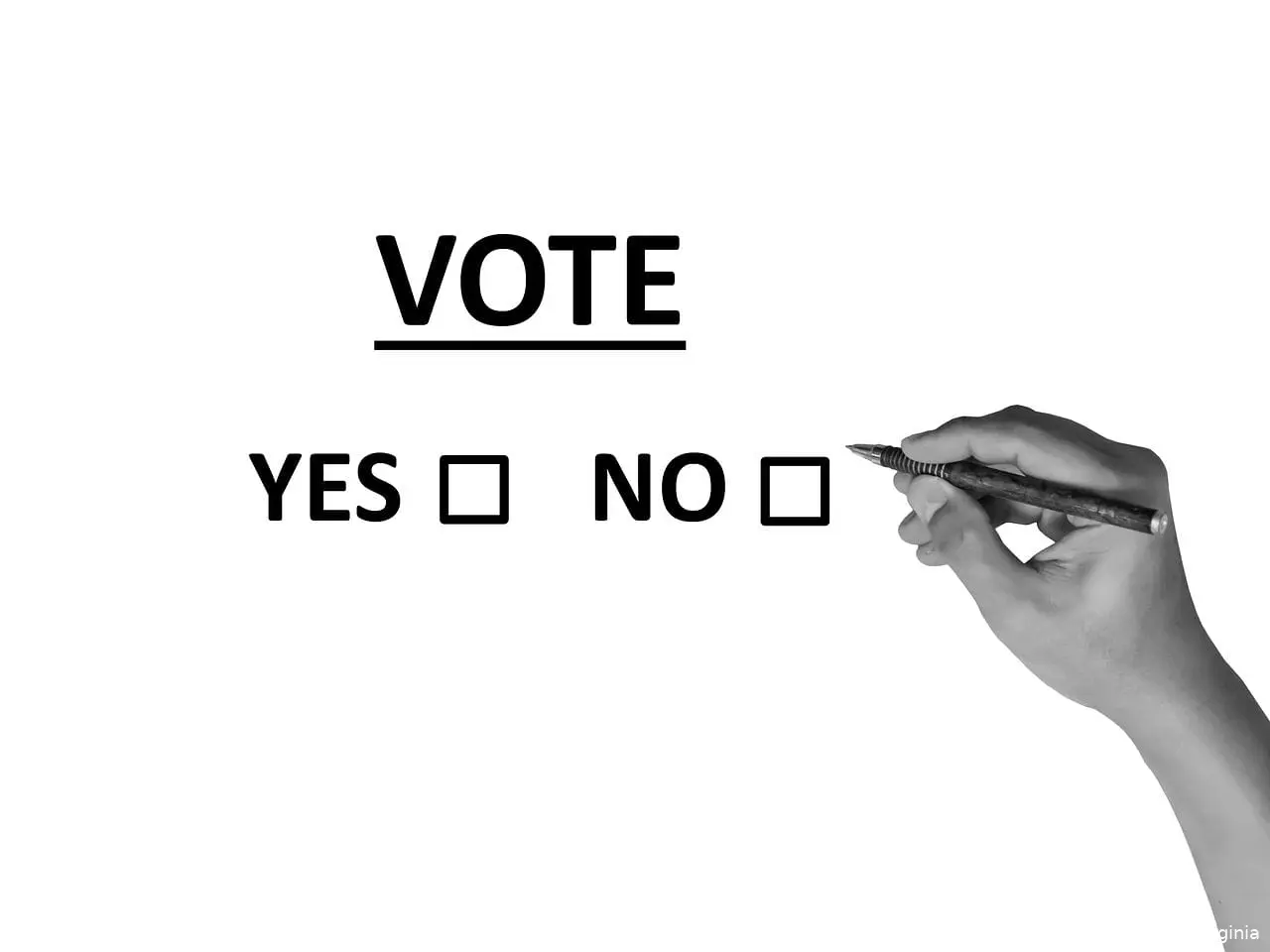 voting12