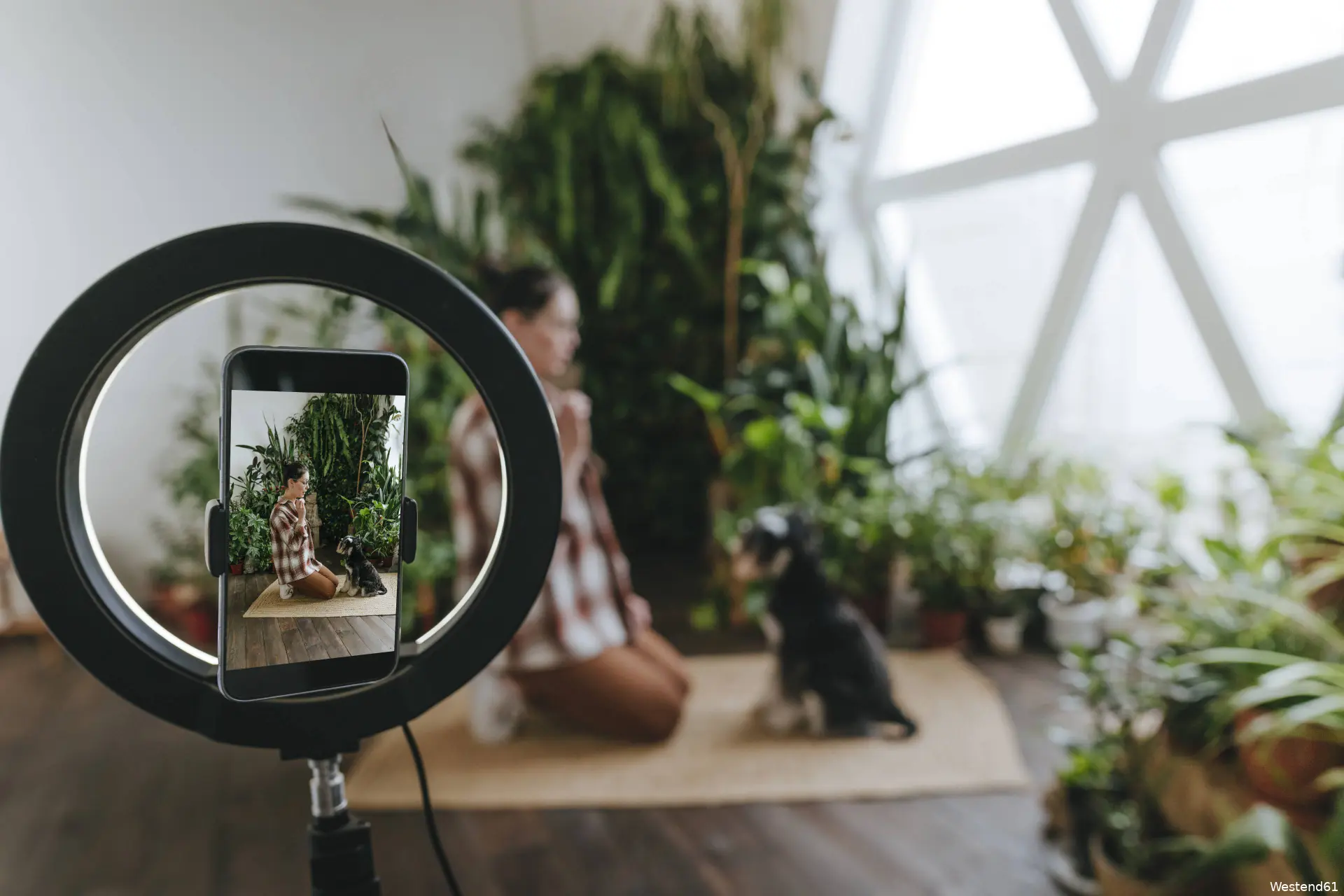 anp 470095376