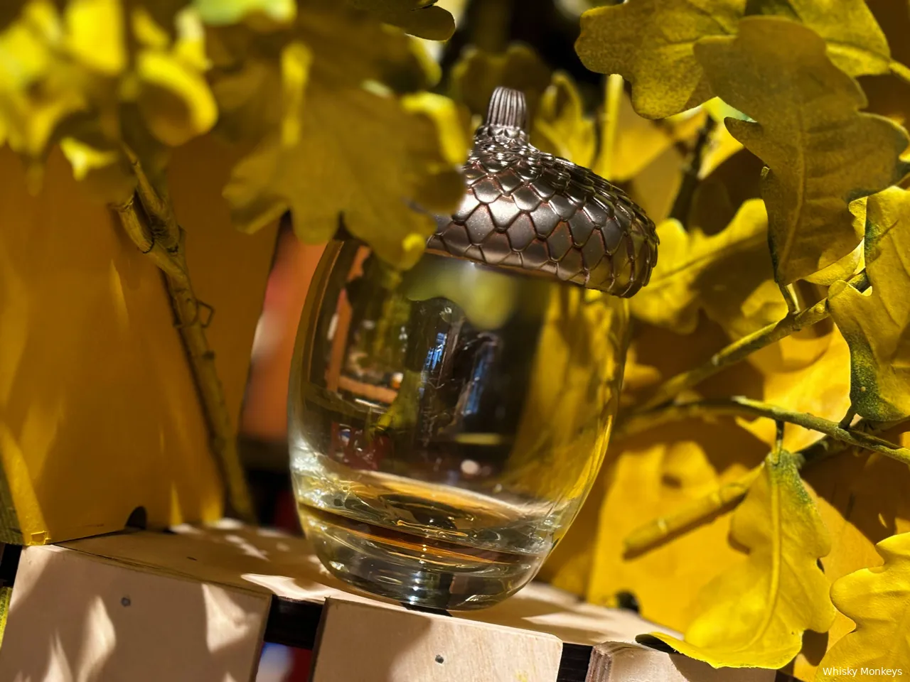 the macallan harmony collection vibrant oak 1