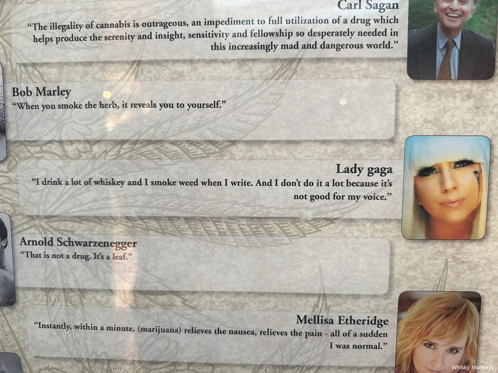 lady gaga quote