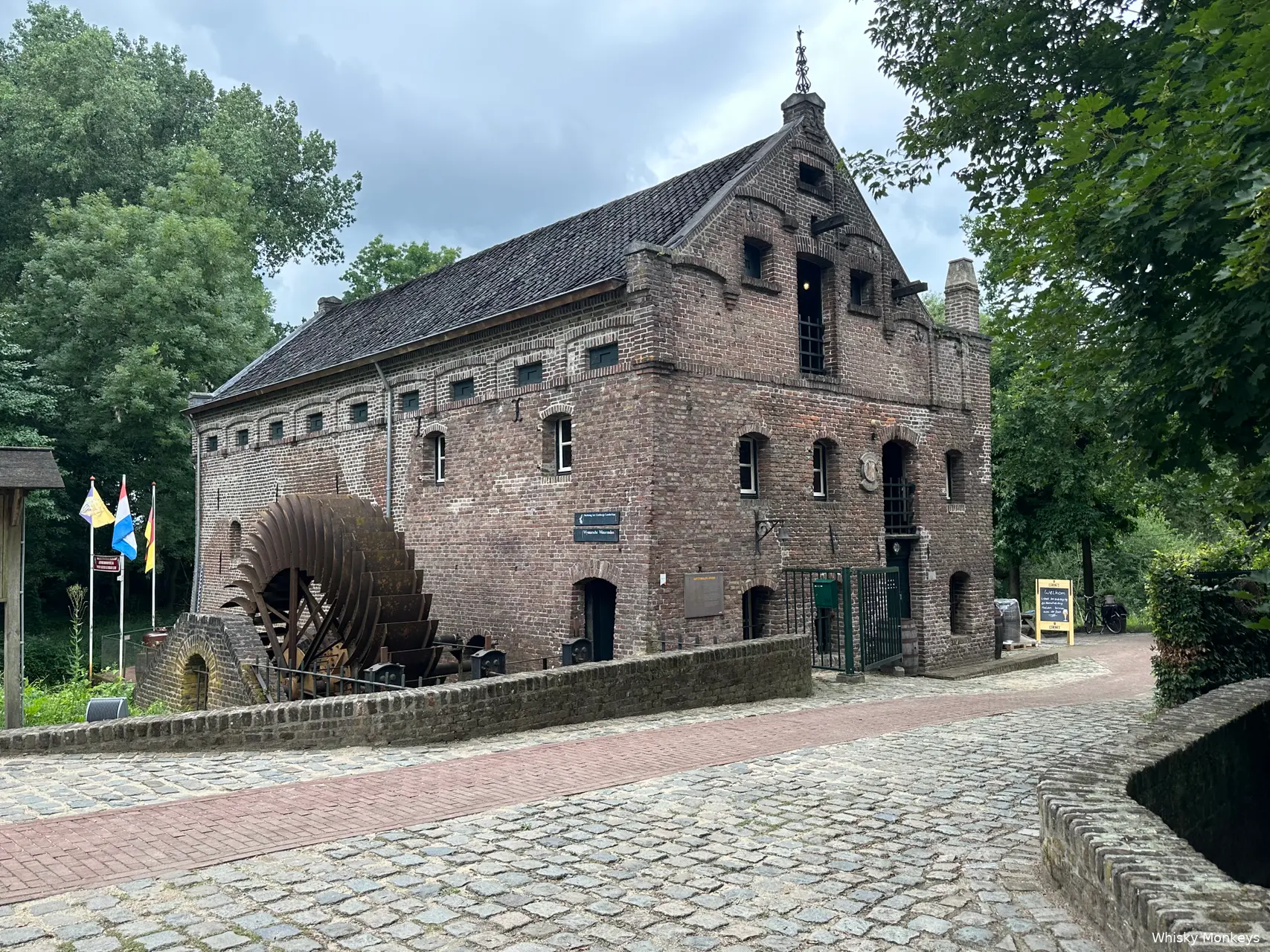 de ijsvogel