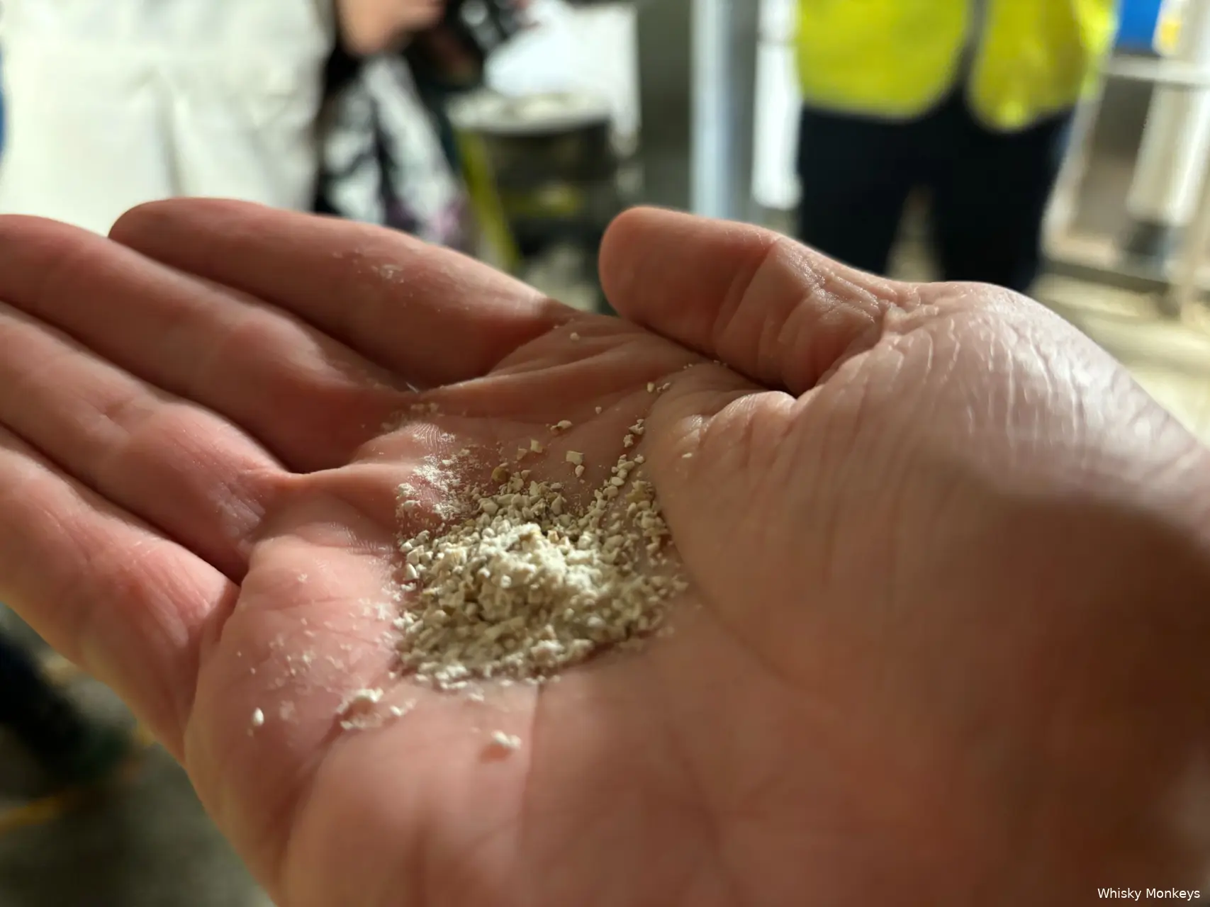 loch lomond distillery grain