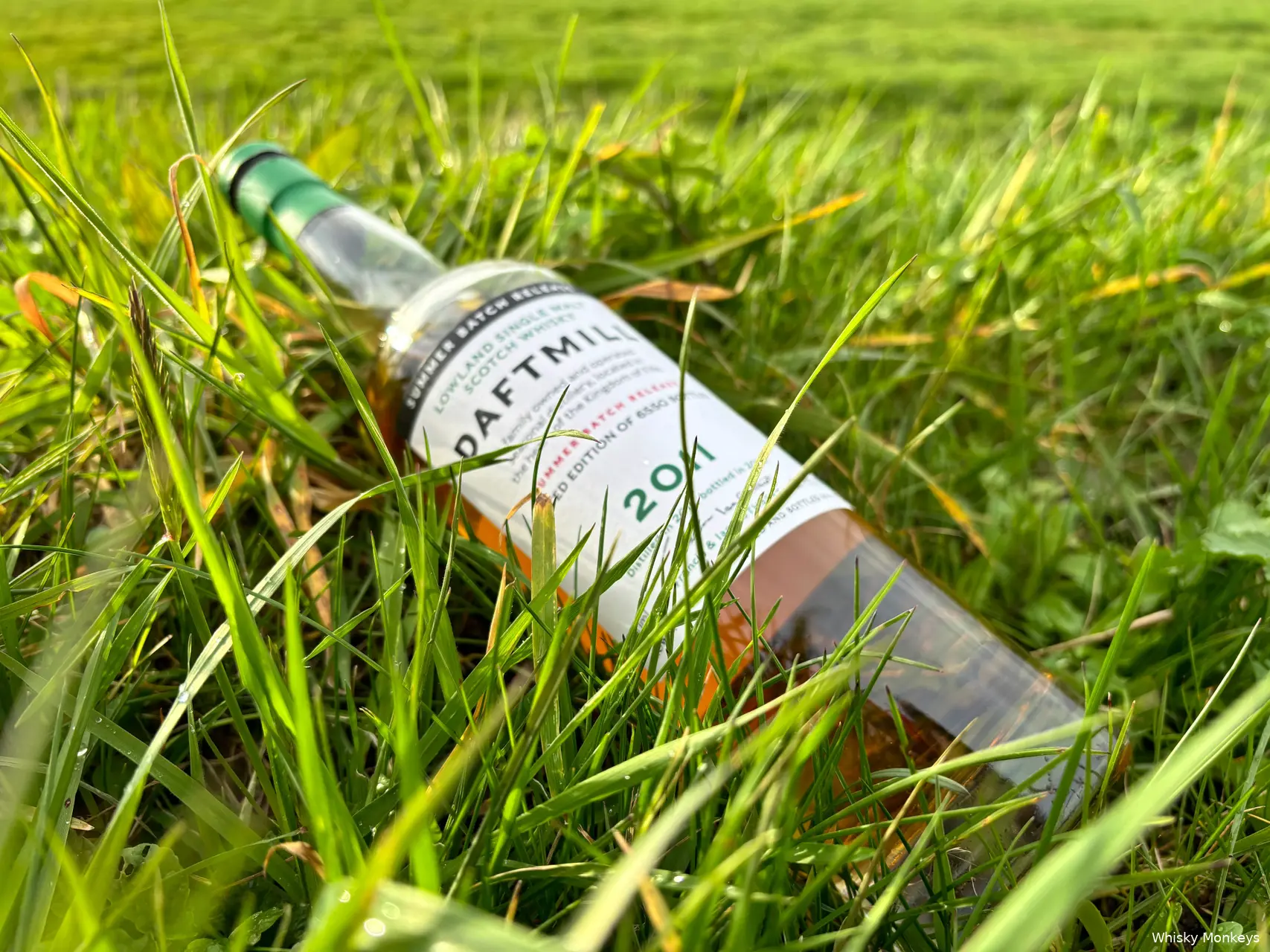 daftmill-2011-summer-batch-release-whiskymonkeyscom
