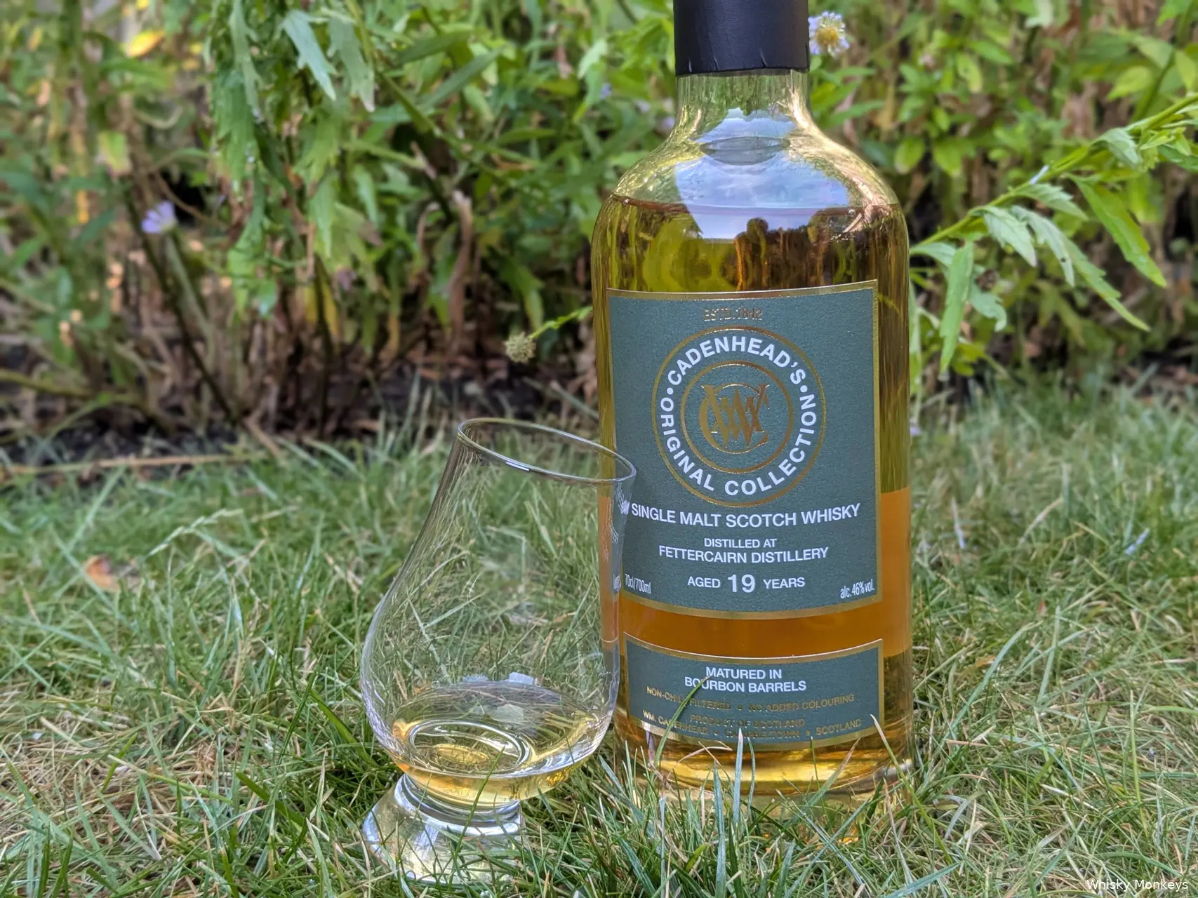 fettercairn Review