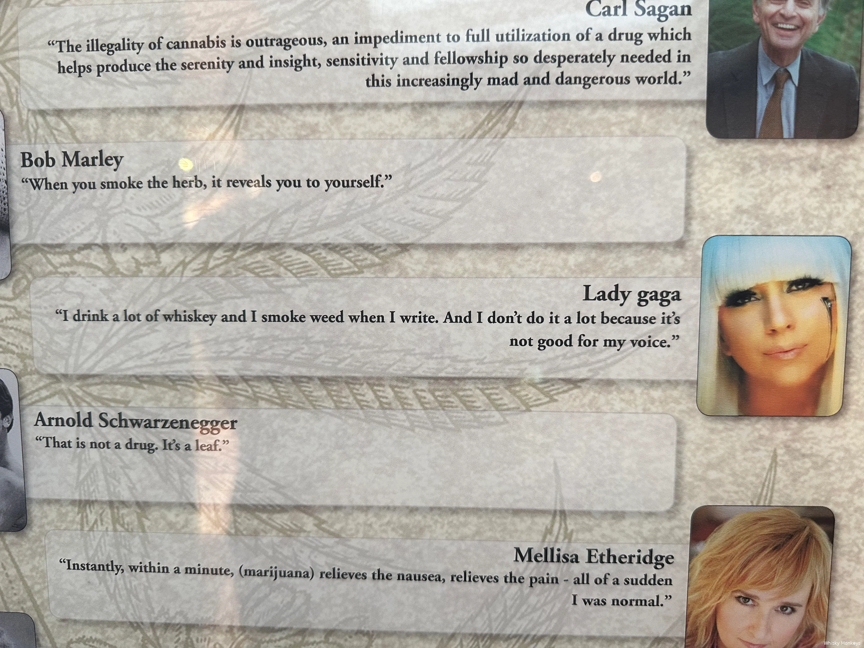 lady gaga quote