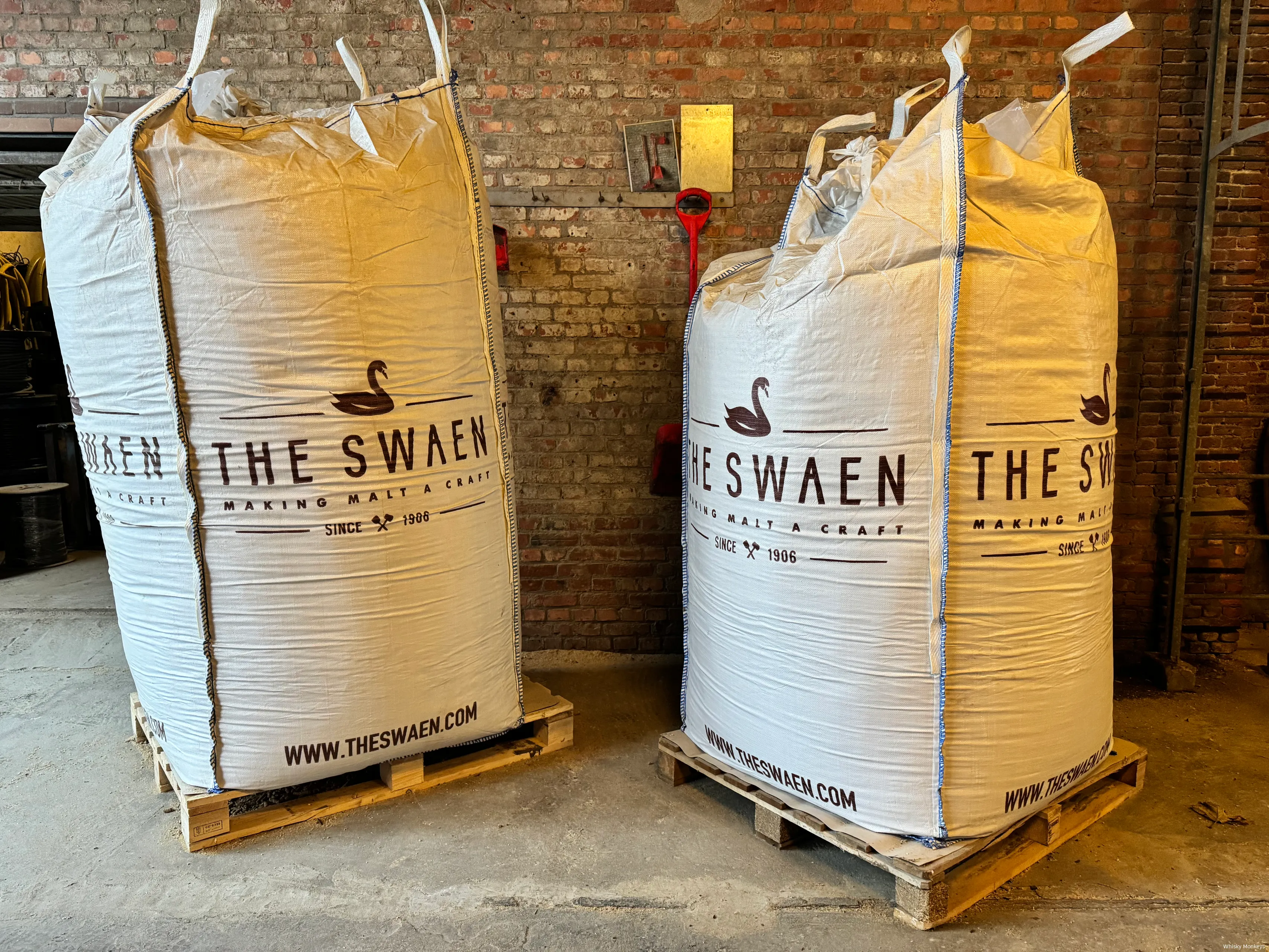 the swaen