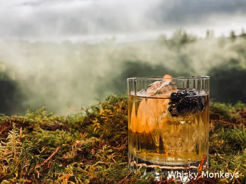 macallan harmony iii 2