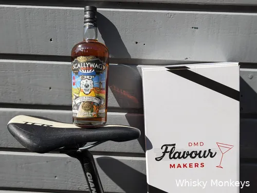 scallywag the dutch bicycle