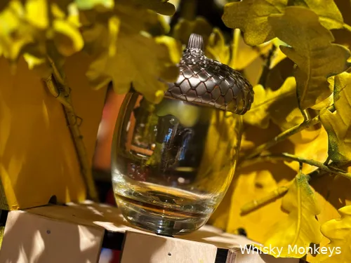 the macallan harmony collection vibrant oak 1