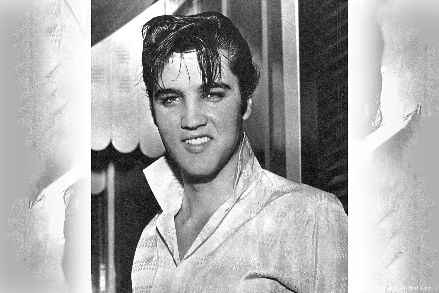 elvis wiki rossano aka bud care