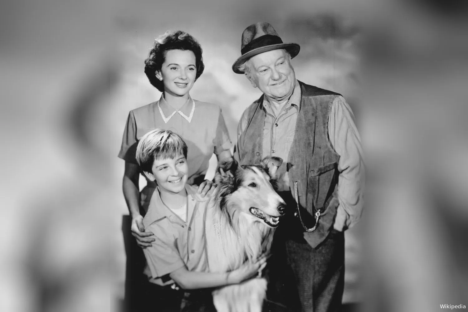 lassie cast 1955 kopieren achtergrond kopieren wiki