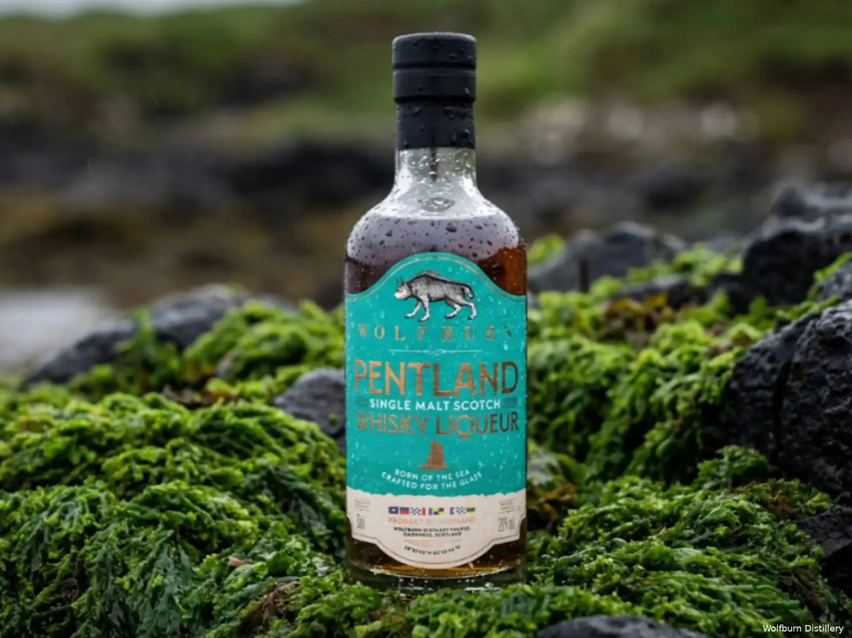 Wolfburn Pentland liquer