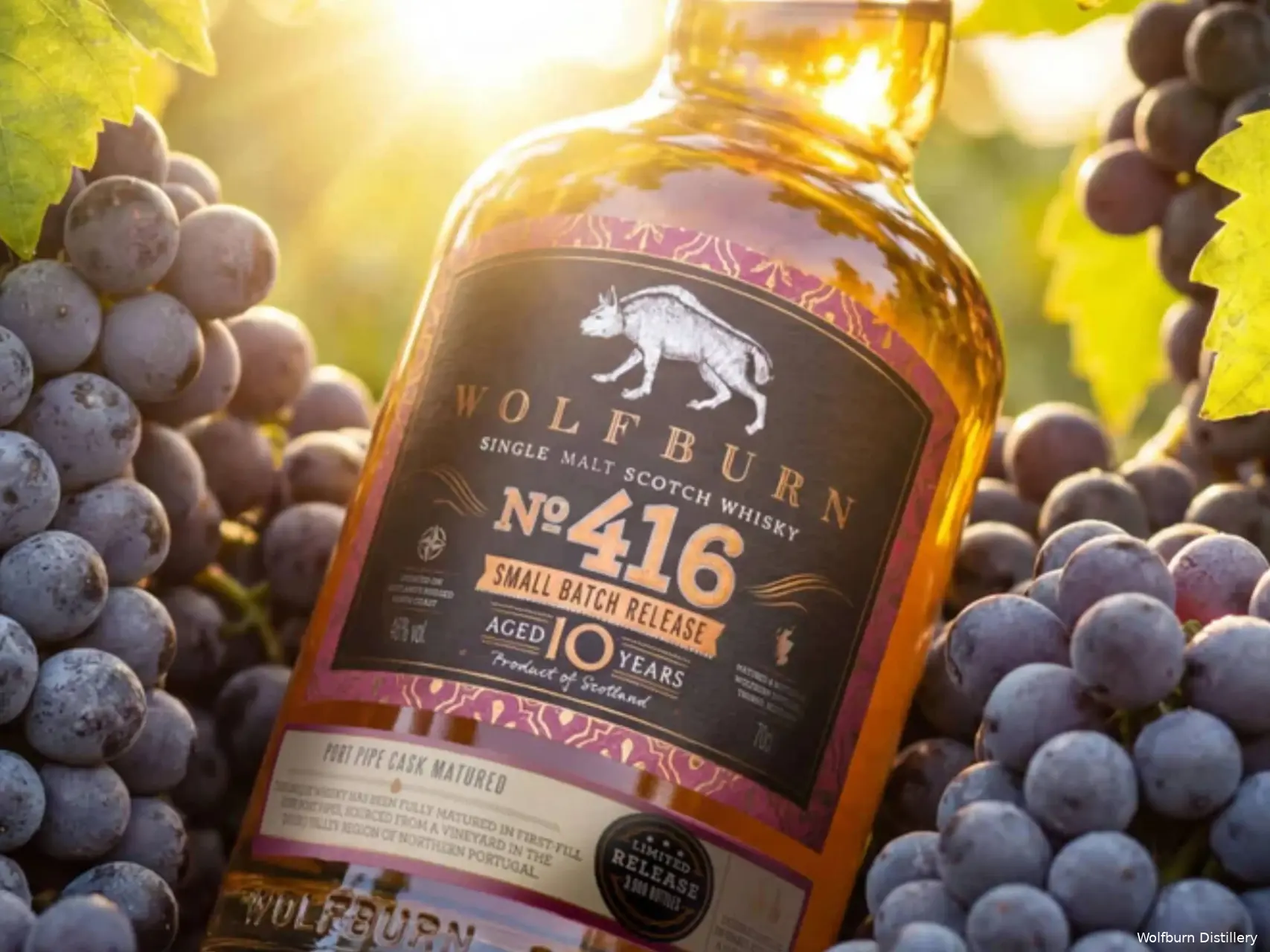 Wolfburn Small Batch Series 416 whisky close up