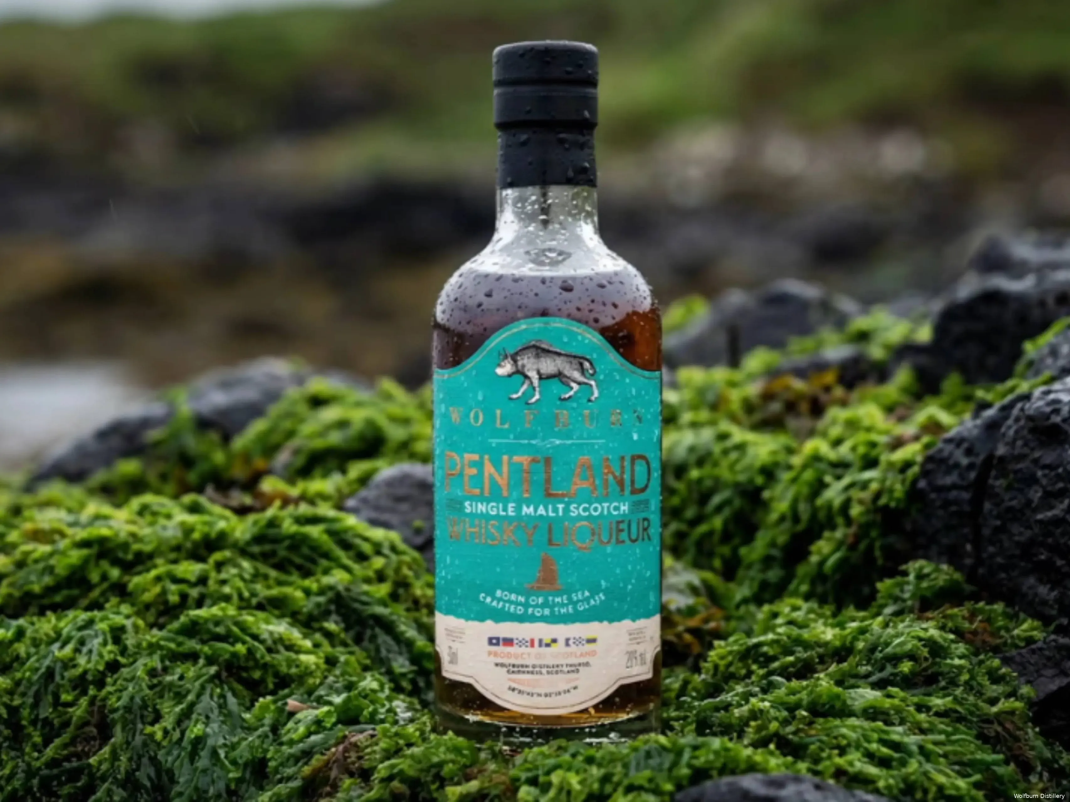 Wolfburn Pentland liquer