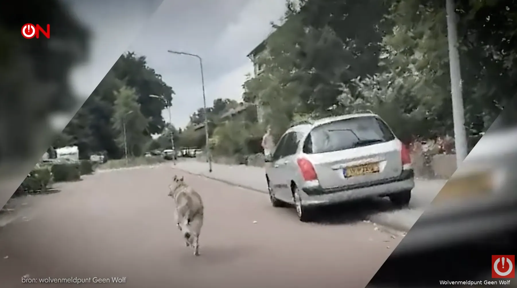 Screenshot 2026-03-13 at 11.11.21