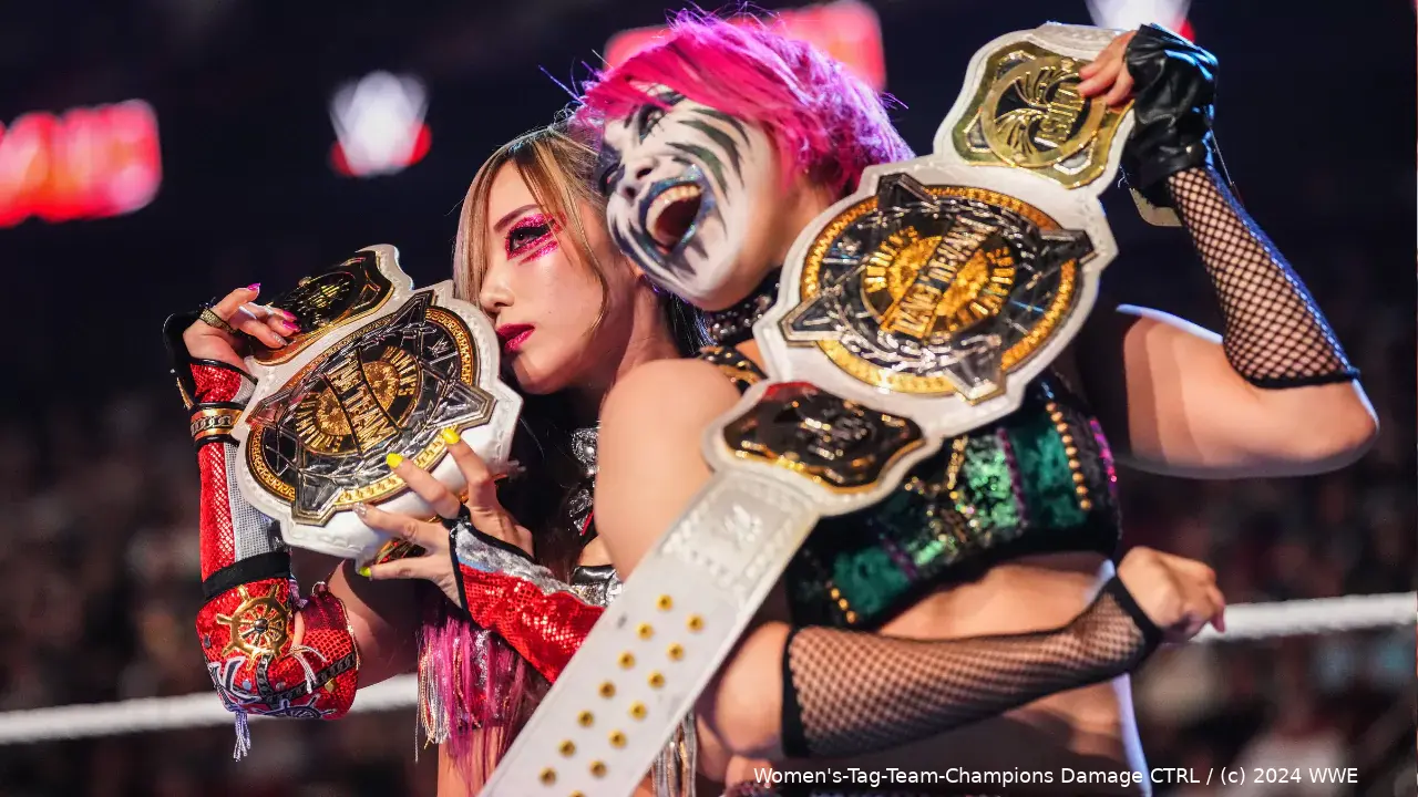 wwe damage ctrl 0324