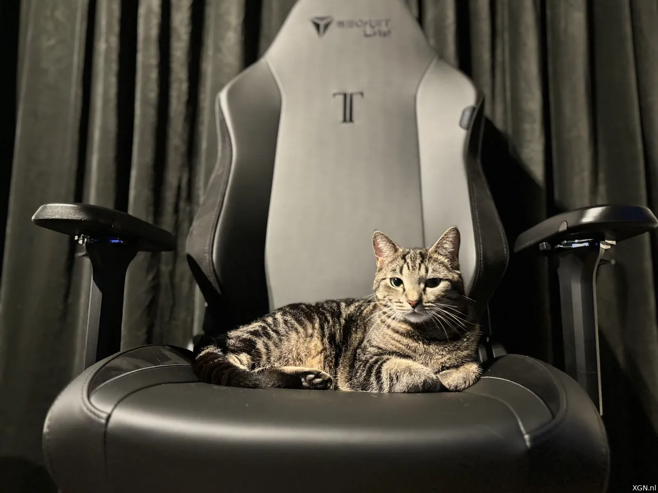 De Secretlab TITAN Evo gamingstoel is echt voor iedereen