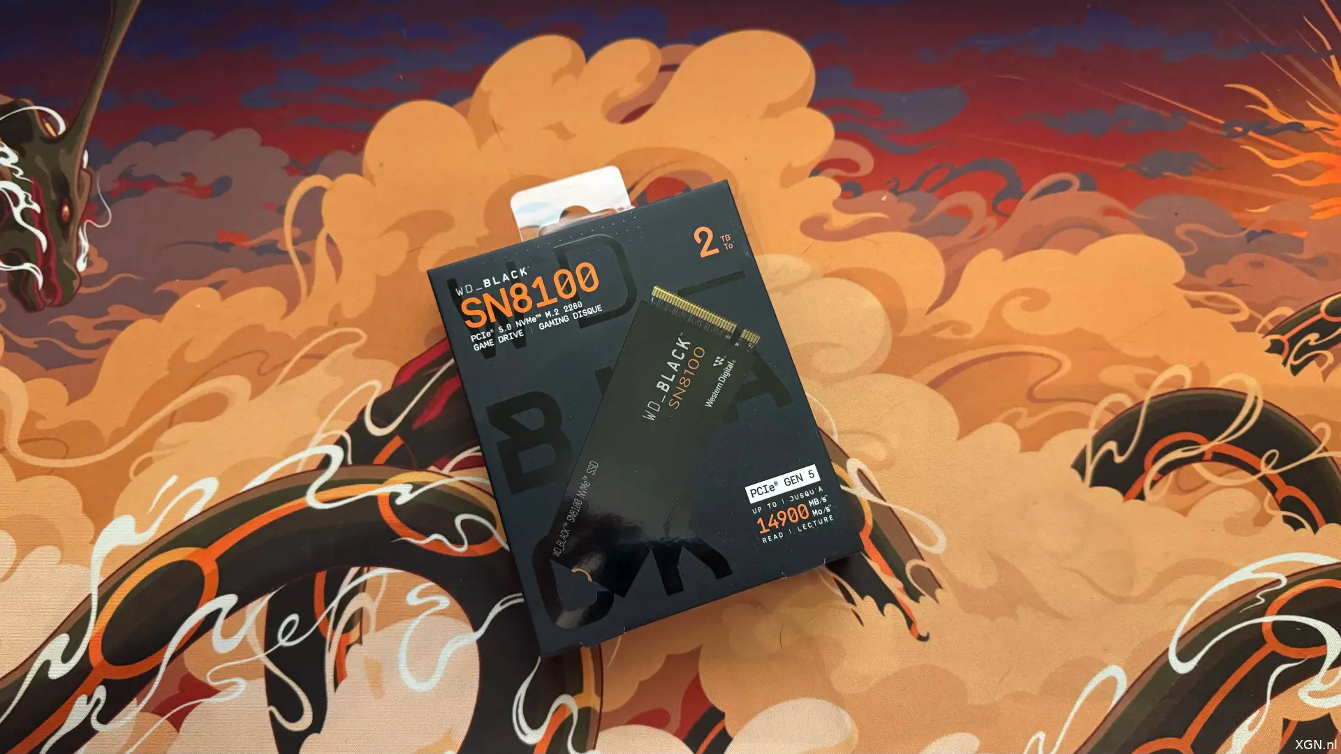 WD_Black SN8100 SSD