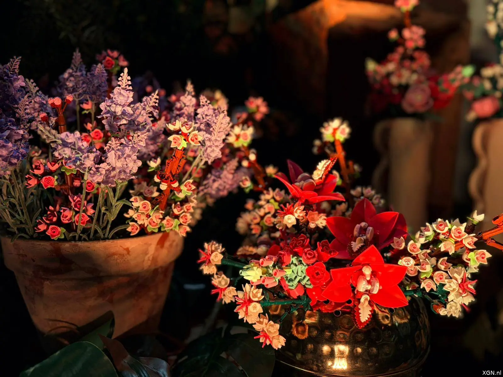Lego World 2025  botanicals